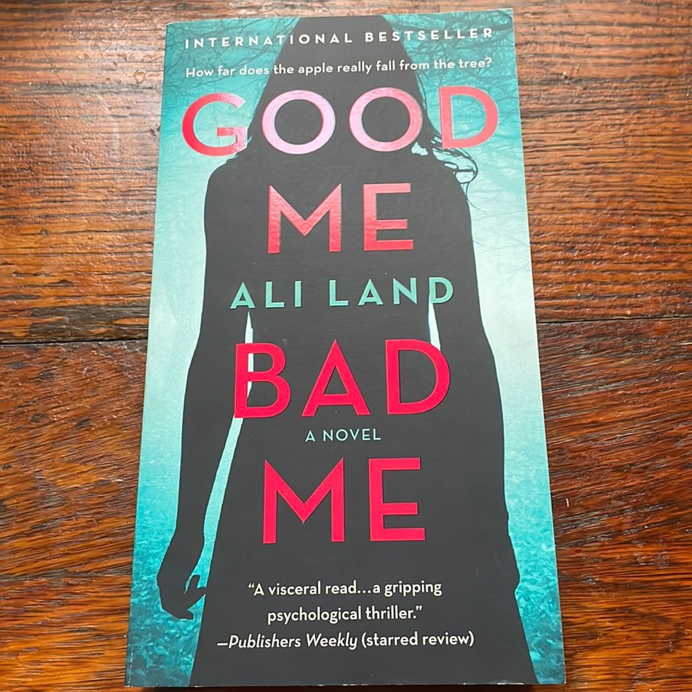 Good Me Bad Me by Ali Land